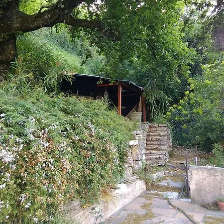 Maison Mimosa Maison d'hôtes *